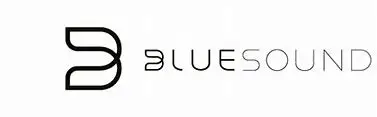 Bluesound logo