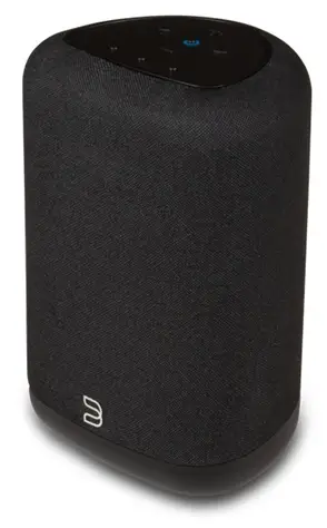Bluesound Pulse Flex Wireless Speaker