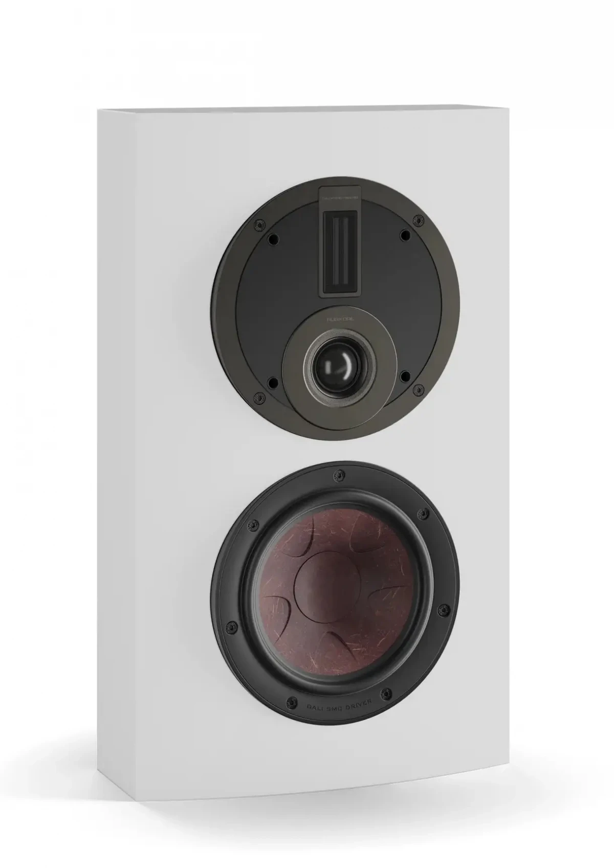 Dali Rubikore On Wall